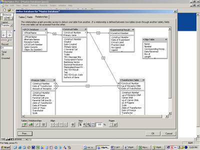 FileMakerRelationship.JPG