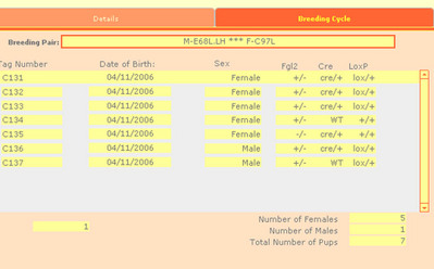 portalcalculation_pic_copy.jpg