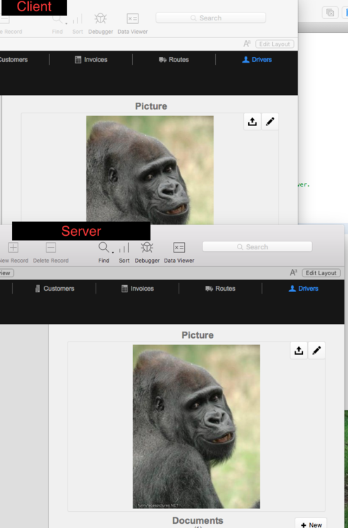 Both External Storage.png
