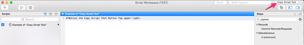 Script_Workspace CopyScript Text.png